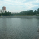 Капитальный ремонт прудов в парке Кусково г. Москва фото 6